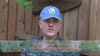 Wideo At Her Service (Amethyst Banks, Gracie Green) - 2022-03-13 04:34:40